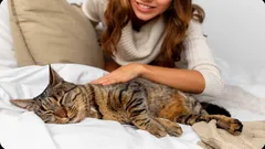 Não é apenas um capricho: as razões ocultas pelas quais os gatos preferem dormir com o dono