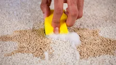 O tapete vai ficar como novo em 10 minutos: truque eficaz sem bater o pó nem usar aspirador