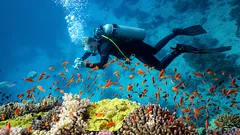 Mistérios subaquáticos: 6 locais que mergulhadores de todo o mundo sonham visitar em 2026