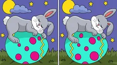 Puzzle: encontre 3 diferenças na imagem do coelho a dormir num ovo de Páscoa em 9 s