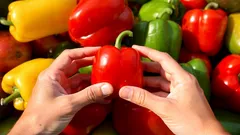 Qual pimento é mais saudável — vermelho, amarelo ou verde? Os especialistas puseram fim à discussão