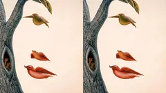 Teste psicológico: a primeira coisa que vê revela com o que o seu subconsciente sonha